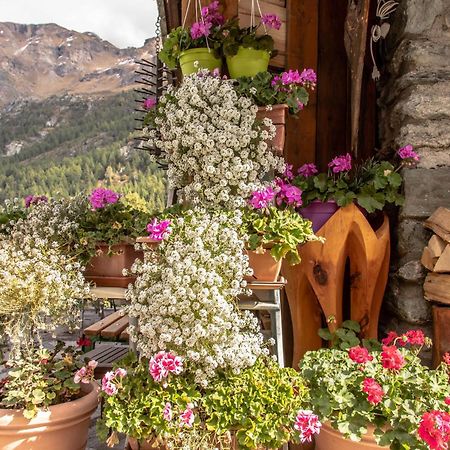 Hotel & Restaurant Perret - Mountain People Valgrisenche Εξωτερικό φωτογραφία