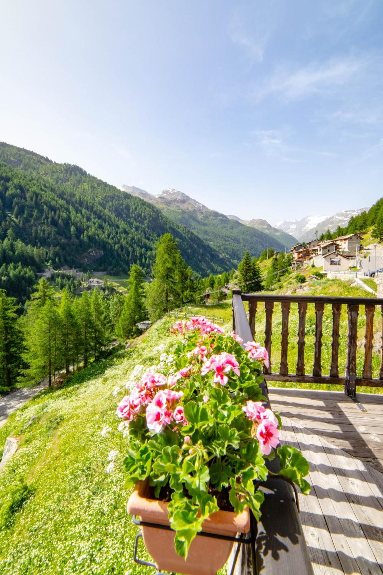 Hotel & Restaurant Perret - Mountain People Valgrisenche Εξωτερικό φωτογραφία