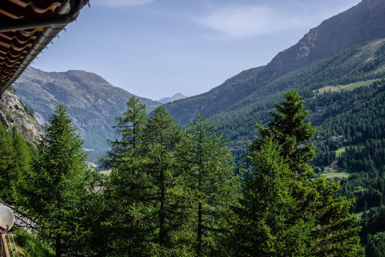 Hotel & Restaurant Perret - Mountain People Valgrisenche Εξωτερικό φωτογραφία