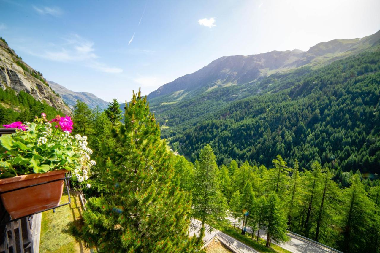 Hotel & Restaurant Perret - Mountain People Valgrisenche Εξωτερικό φωτογραφία