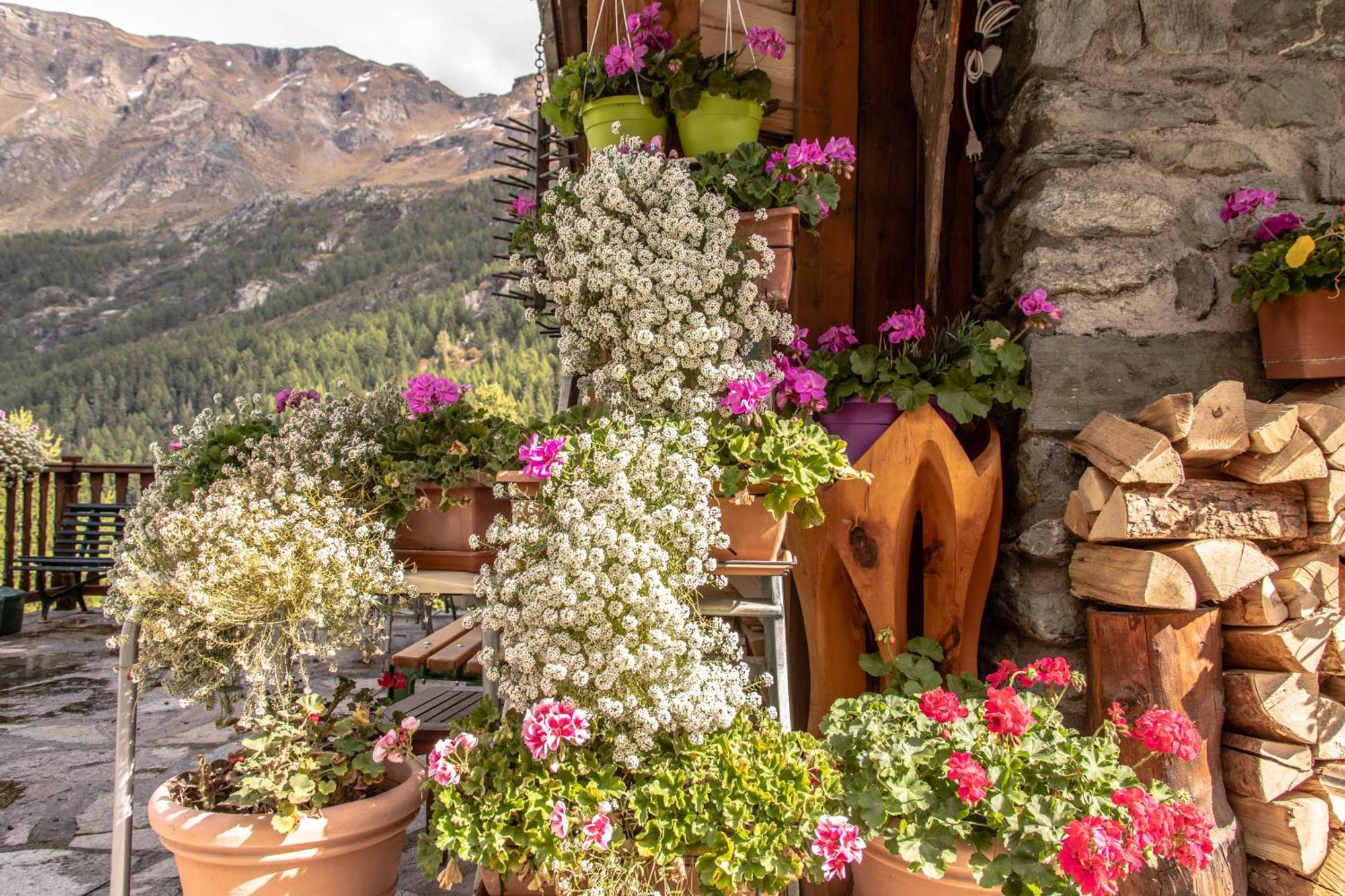 Hotel & Restaurant Perret - Mountain People Valgrisenche Εξωτερικό φωτογραφία